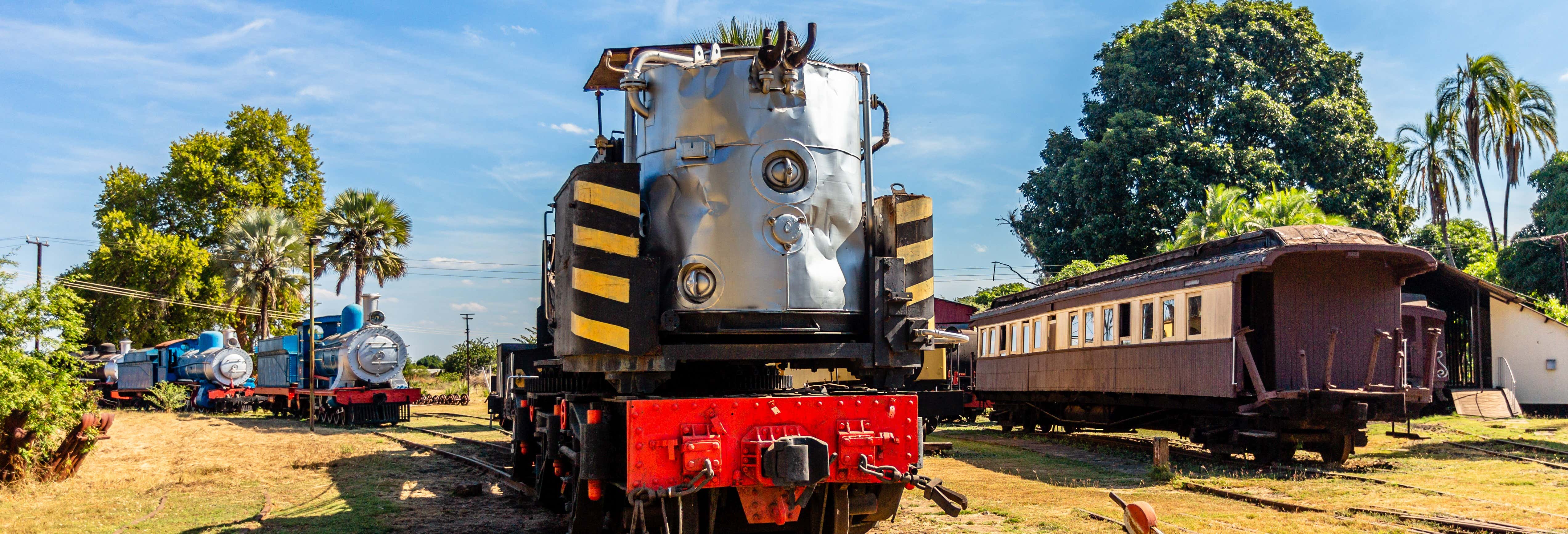 Visita guidata di Livingstone