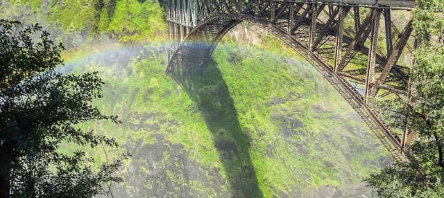 Bungee Jumping alle Victoria Falls